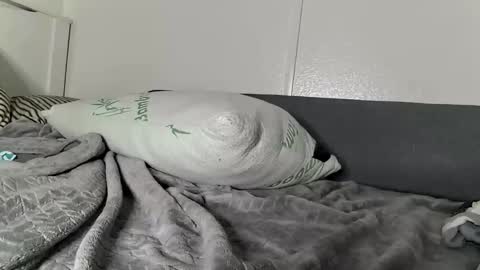 ray19821982 stream preview