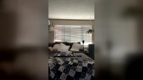 rebodawg live stream