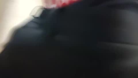 reeddave654 live stream