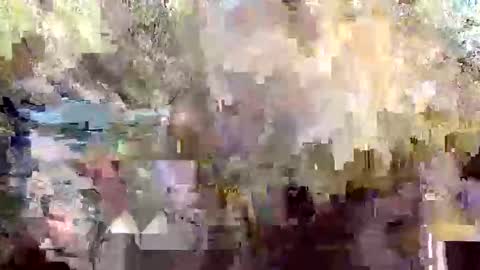 retniwtirips stream preview