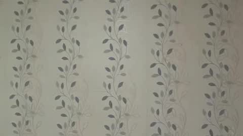 robbimckoy stream preview