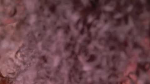 rolyloren_ stream preview