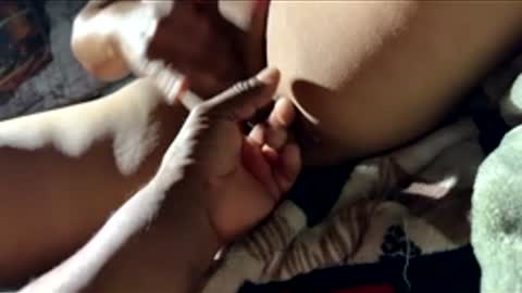 rosidor stream preview