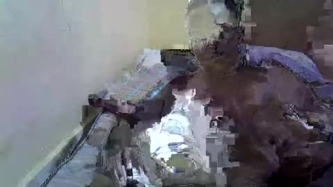 roystonne3 stream preview