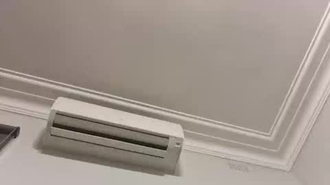 rusty6686 live stream