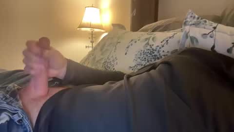 safetynett stream preview