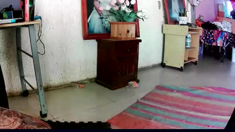 sailor_ruby7 stream preview