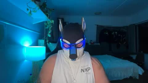 sc212 stream preview