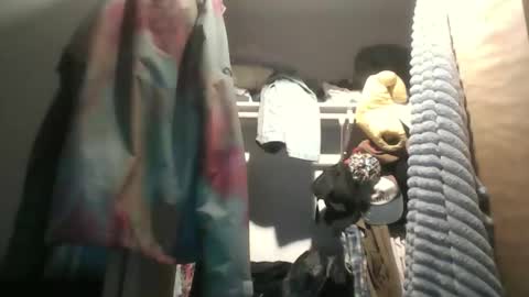 scoopydoodoo stream preview