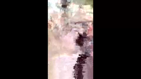 sexciisophia stream preview