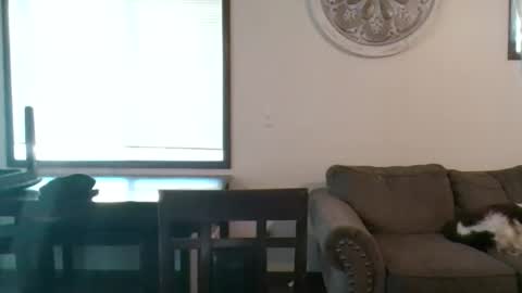 sexysully32 live stream