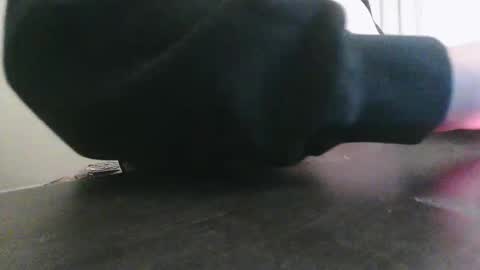 shadybunni live stream