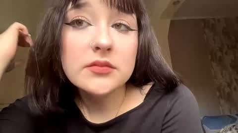 shaunklausner stream preview