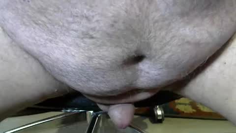 shavedassballs stream preview