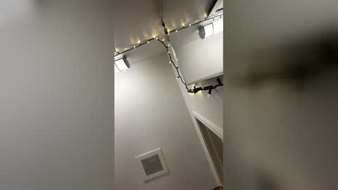 shelbsss17 live stream