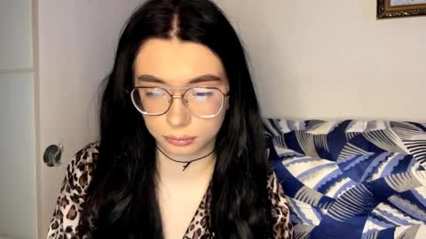 shellierosenau stream preview