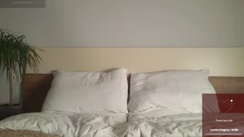 shirizo stream preview