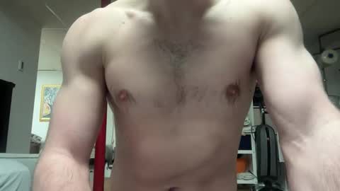 shirtlesshunk15 stream preview