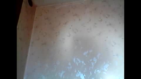 shootliker live stream