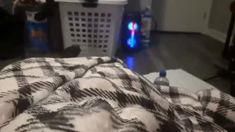 skindog1551 stream preview