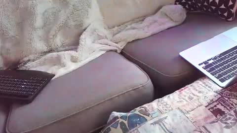 skoonta stream preview