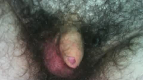 small_but_fun_ stream preview