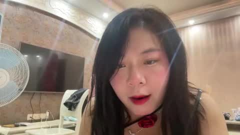 smgirls stream preview
