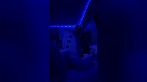 snowbunn06 live stream