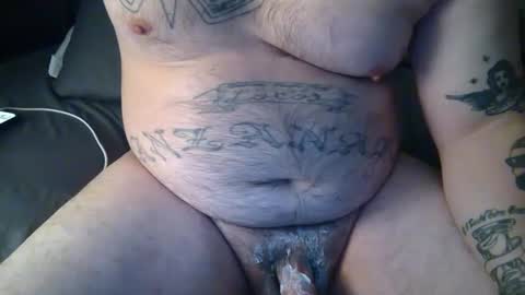 sparehamster stream preview