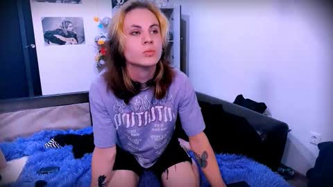 sparkyferret live stream