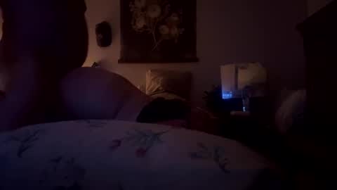 spendie stream preview