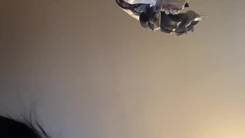 squirtgiver520207 stream preview