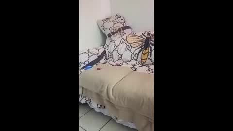 squirtinguni stream preview