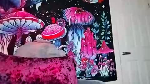 starvega1313 live stream