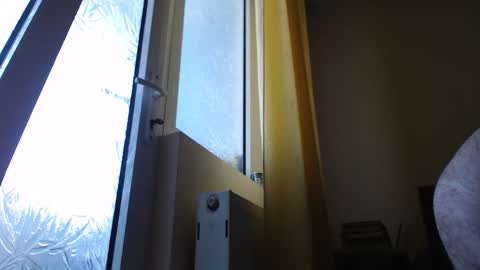 stevenbradley2017 live stream