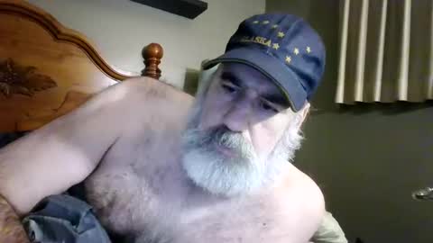 straightbear4you live stream