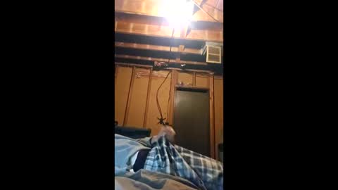 student7569 stream preview