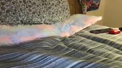 submissivetwinkboi stream preview