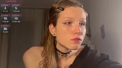 sutulaua stream preview