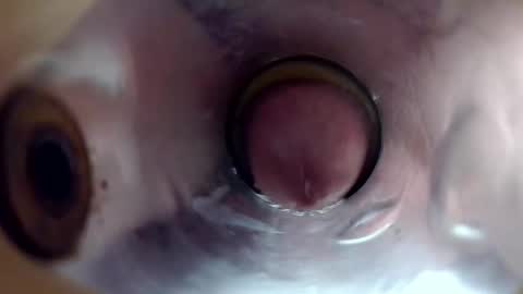 sweetkreme69 live stream