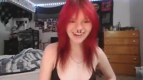 t3mpor4rybliss stream preview