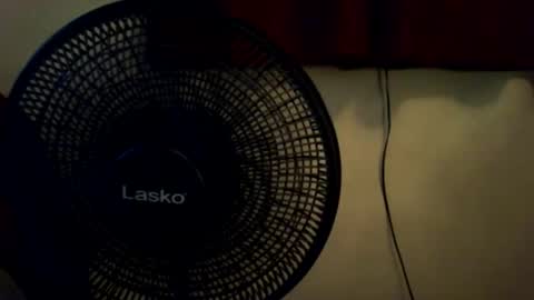 tandjl stream preview