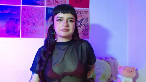 tara_hs stream preview