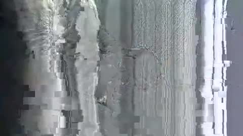 teelciara191 live stream