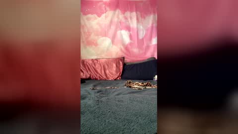 tessakatt1000 live stream