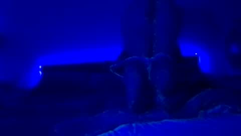 thebobcatsaysmeah stream preview