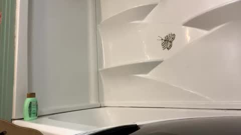 thebouncybun stream preview