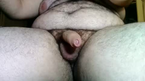 theponyboyyy stream preview