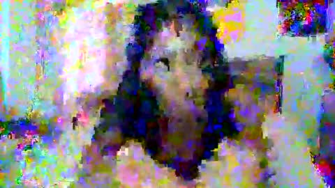 therealprettyp stream preview