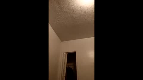 thickmeat3132 stream preview